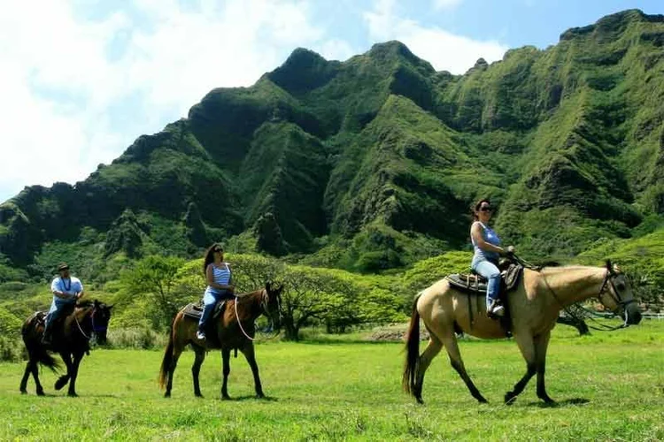 Horseback+1