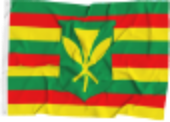Native+Hawaiian+Owned